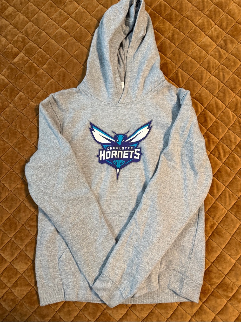 Kids Gray Logo Hoodie - NBA Team Pullover
